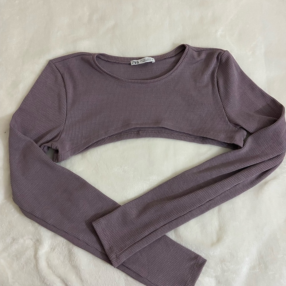 Zara Mauve Ribbed Crop Top